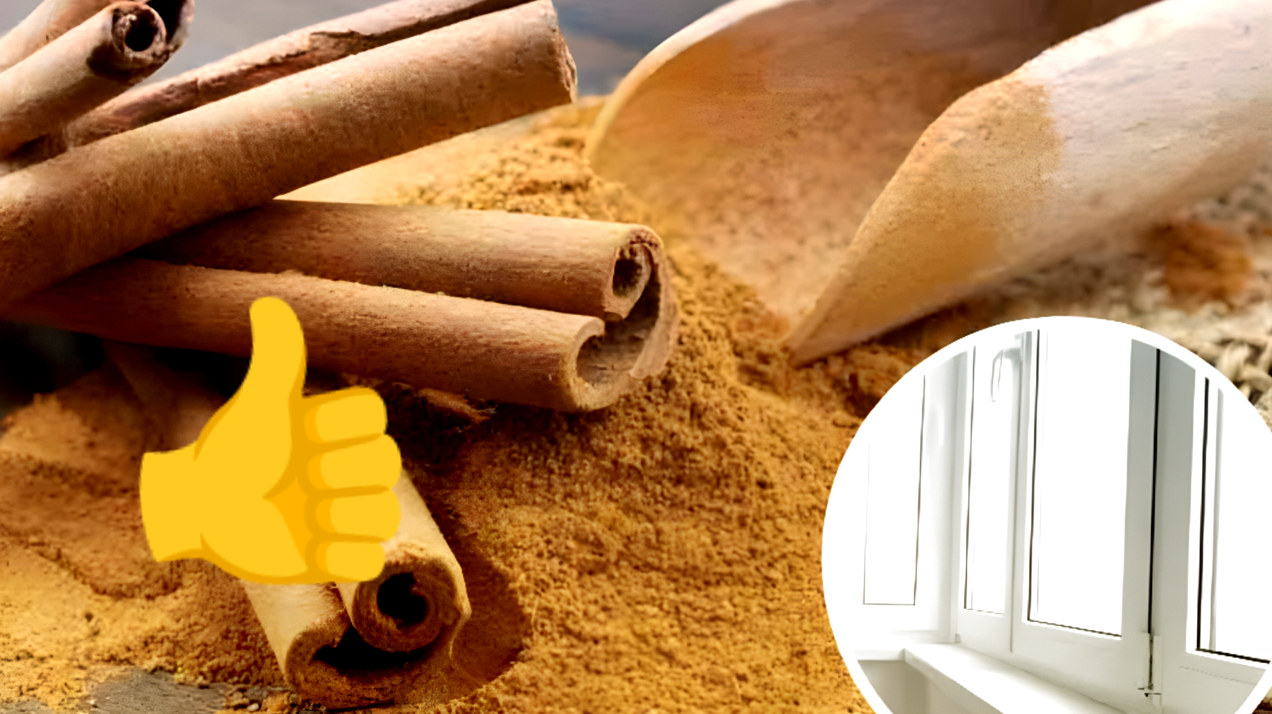 Il segreto inaspettato dei davanzali: la cannella potrebbe giocare un ruolo chiave