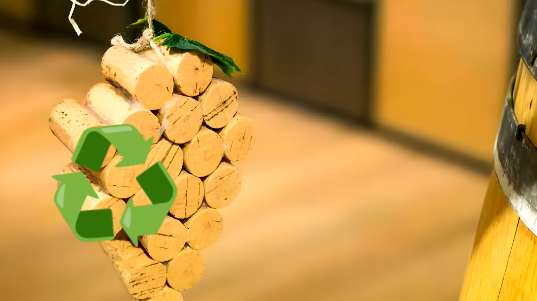 Riscopri il potere del riciclo: i tappi di sughero nascondono un segreto incredibile!