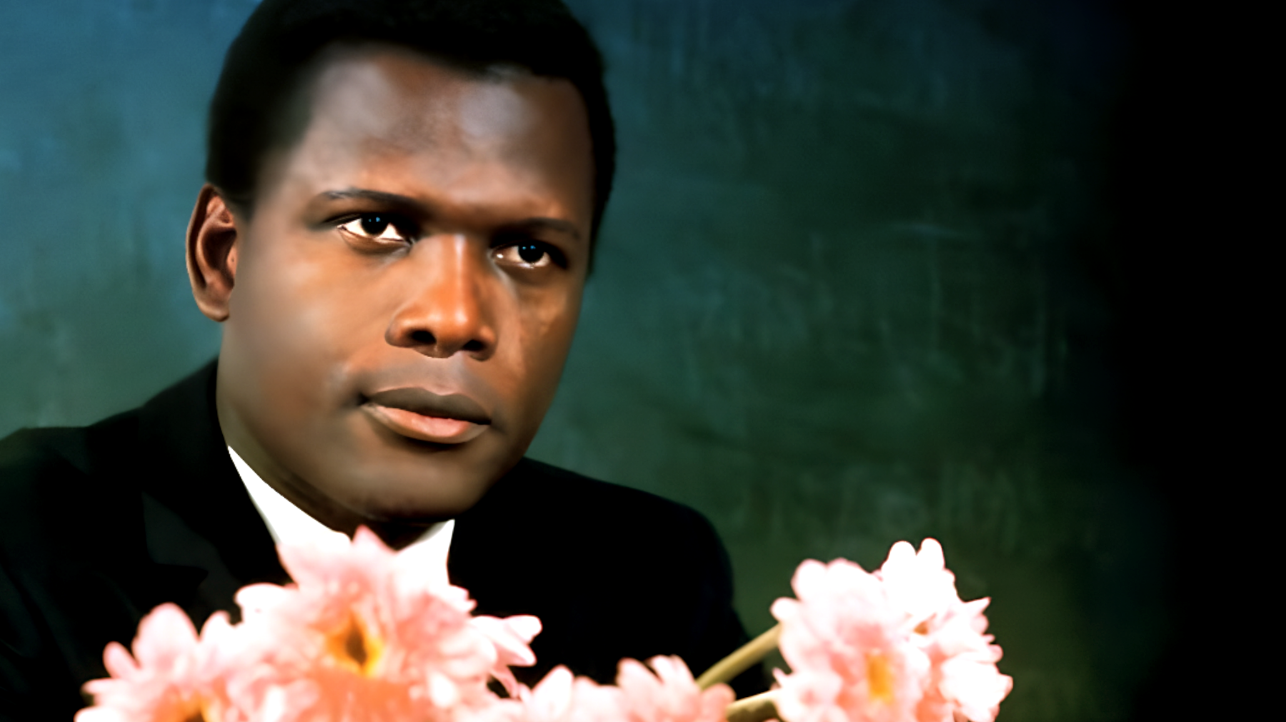 La scuola della violenza