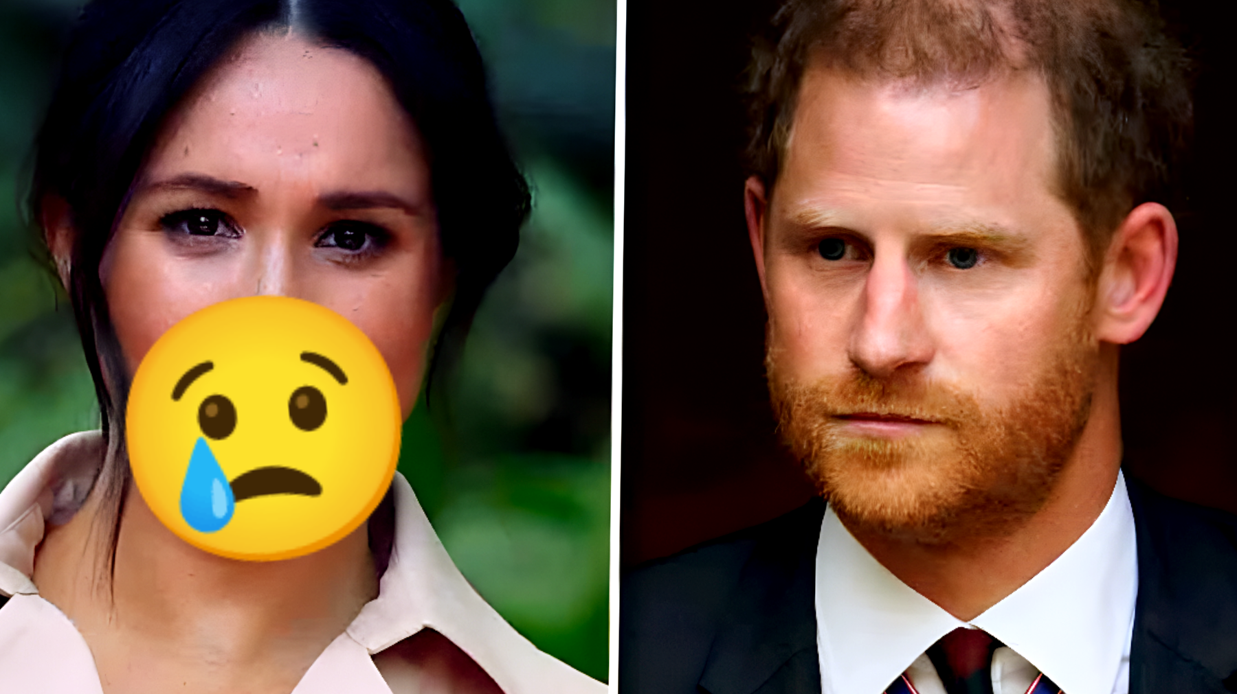 Harry e Meghan, l'indiscrezione che scuote il Palazzo: "Non riesce più a sopportarla?"