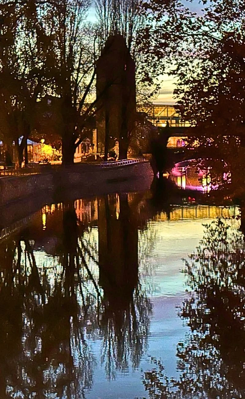 Luisa Ranieri e Luca Zingaretti