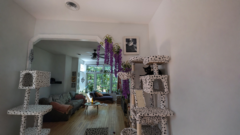 Effetto casa sull'albero in casa: arredare il soggiorno intorno alla finestra e alle piante