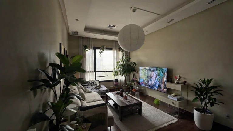 Piante sospese in casa: il soffitto verde che rende accogliente il soggiorno nelle giornate grigie